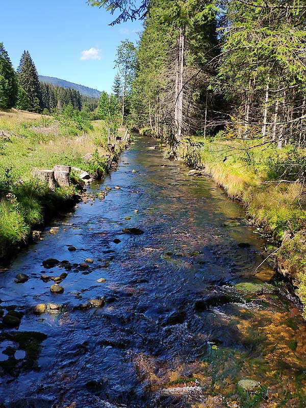 Fluß im Bayerischen Wald